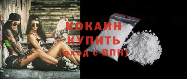 прущие грибы Дмитриев