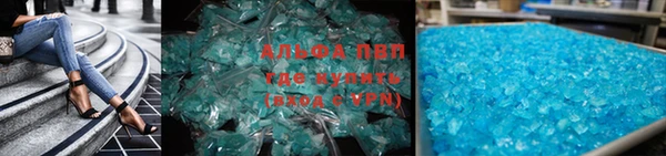 прущие грибы Дмитриев
