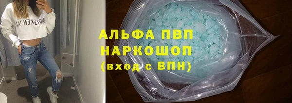прущие грибы Дмитриев