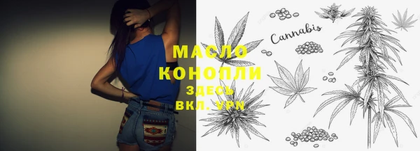 прущие грибы Дмитриев