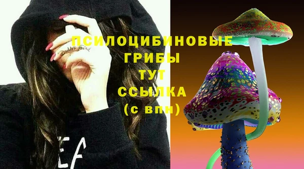 амф Дмитров