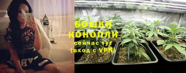 прущие грибы Дмитриев