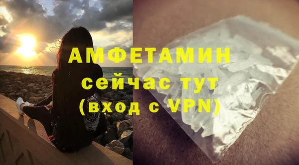 прущие грибы Дмитриев
