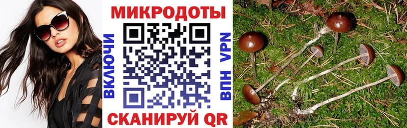 Купить  Нальчик  Галлюциногенные грибы GOLDEN TEACHER 
